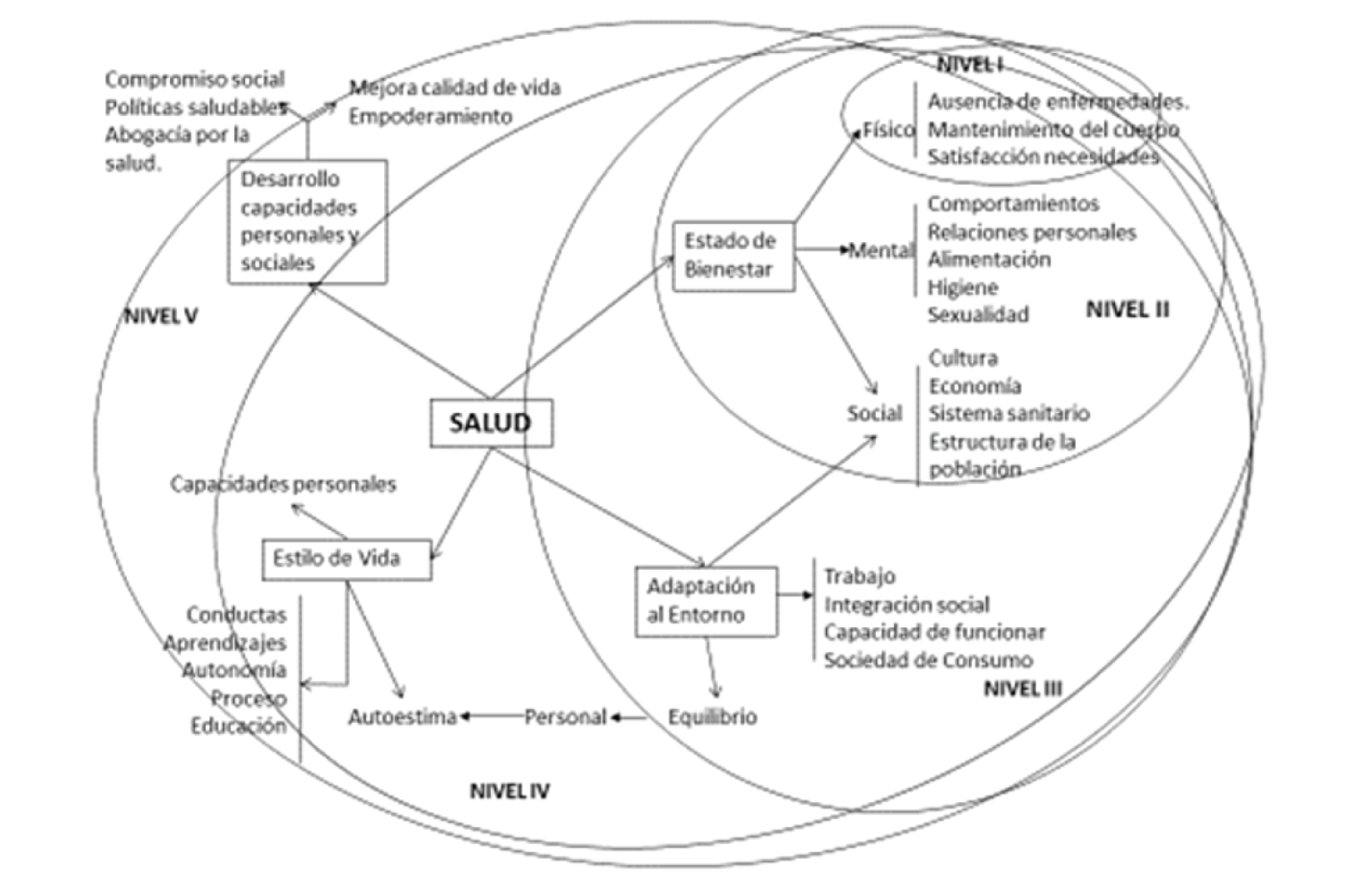 Construcci&oacute;n del concepto de Salud en funci&oacute;n de los cinco niveles