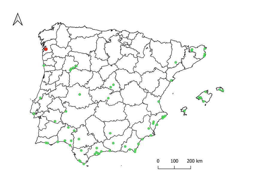 Fig. 3. Distribution map of Enoplognatha mandibularis in the Iberian Peninsula and the Balearic Islands. The green dots represent the previous records and the red dot corresponds to the new record for Galicia. Map made with Quantum GIS software (QGIS) version 3.28 (QGIS DEVELOPMENT TEAM, 2009).