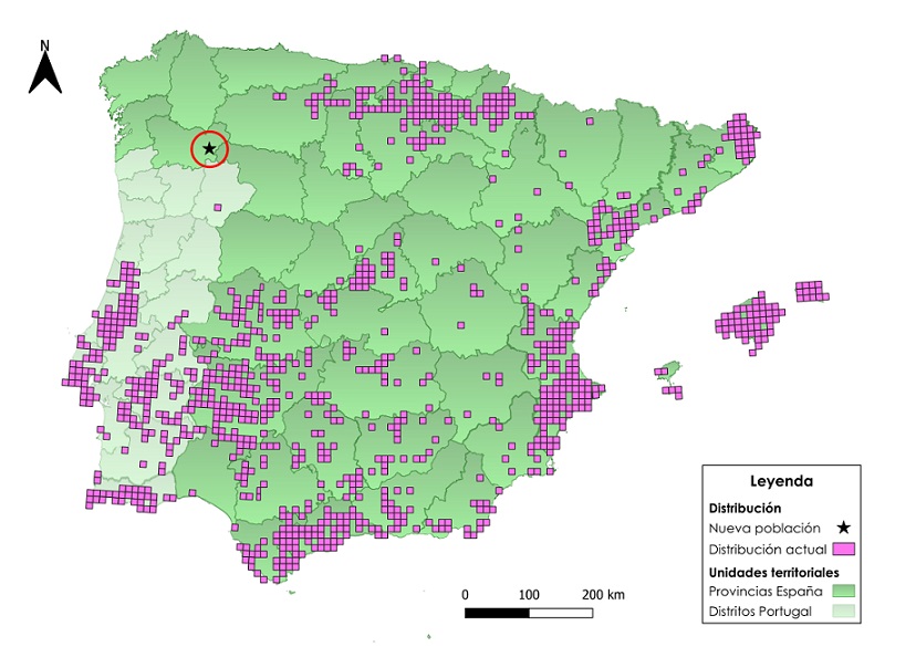 Fig. 3. Mapa de distribución de O. tenthredinifera en la Península Ibérica con la nueva localización indicada. Datos obtenidos de RAMOS-GUTIÉRREZ et al., (2021) y iNaturalist.