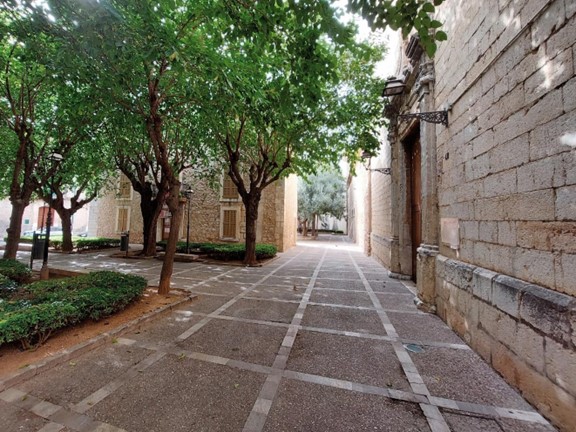 Fig. 13. Plaça de Sant Domingo en l’actualitat. © C. Bauçà de Mirabò