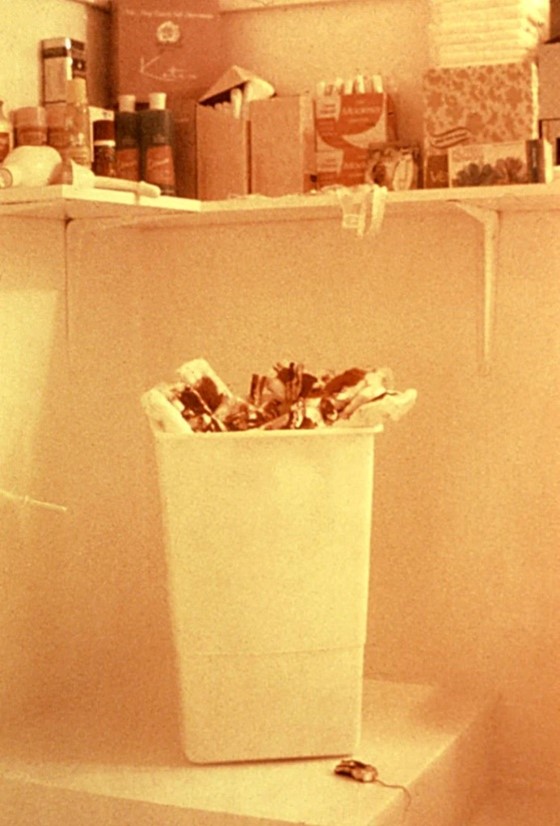 Fig. 10 Menstruation Bathroom (1971), de Judy Chicago.